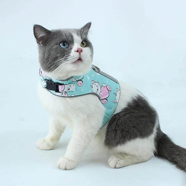 Collars and Leashes - KittyNook Cat Company